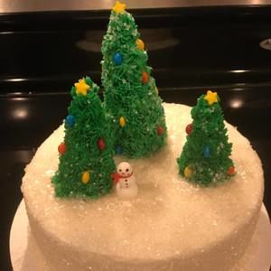 Meet your Posher, Bee